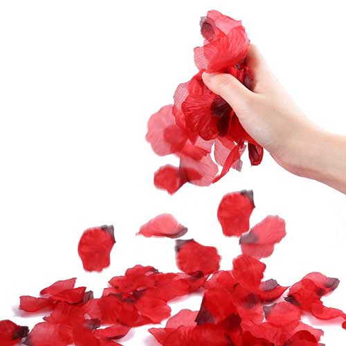 rose petals